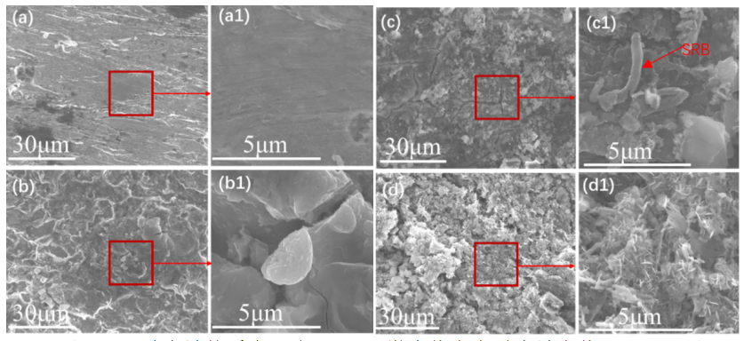 微信图片_20230620143502.png 微信图片_20230620143502.png